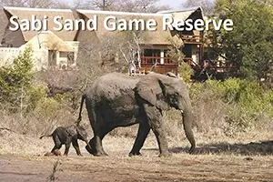 Sabi Sand Game Reserve Accommodation